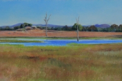 Collaroy Homestead - 19.5cm x 65.5cm, Pastel - SOLD